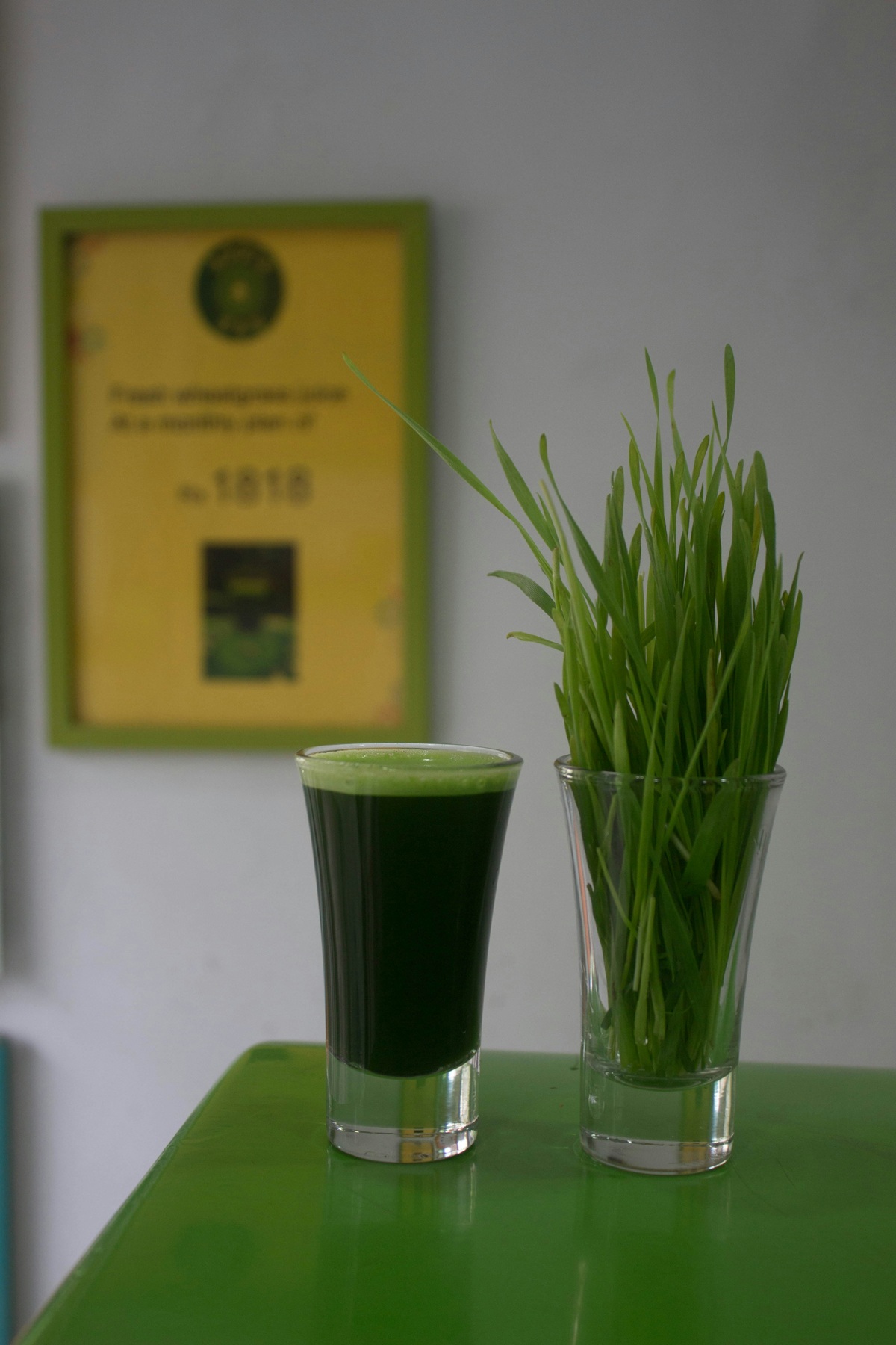 Sok od mlade spelte – prirodni superfood za detoksikaciju i imunitet
