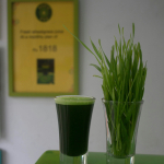 Sok od mlade spelte – prirodni superfood za detoksikaciju i imunitet