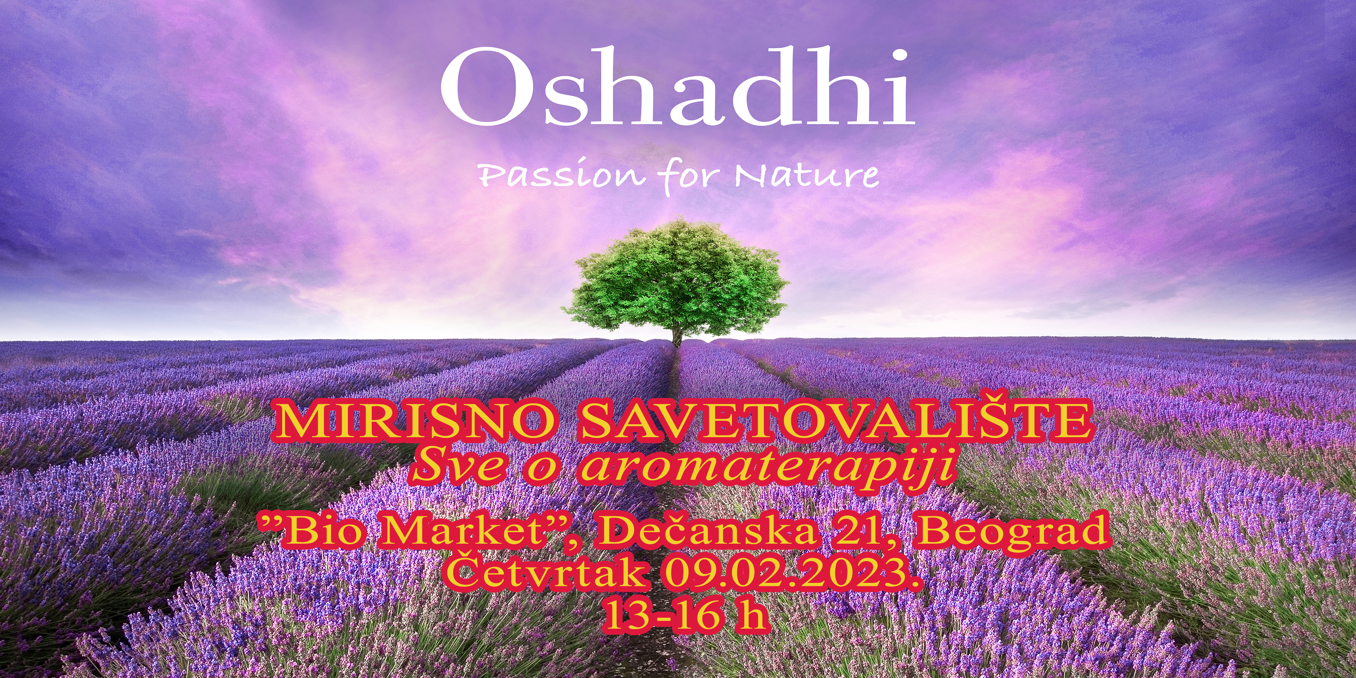 Promocija